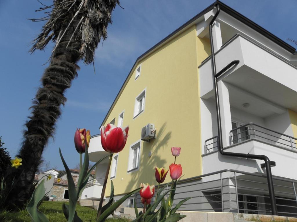 Apartments Paolo In Zambratija At The Sandy Beach エクステリア 写真