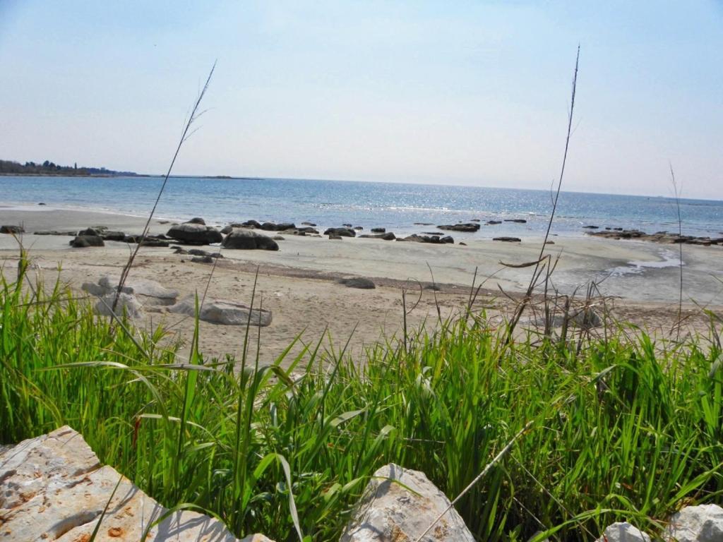 Apartments Paolo In Zambratija At The Sandy Beach エクステリア 写真
